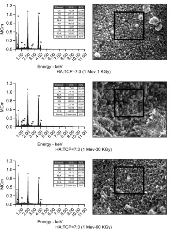 Table 2. Comparisons of Ca/P ratio in the field emission scanning electron microscopy