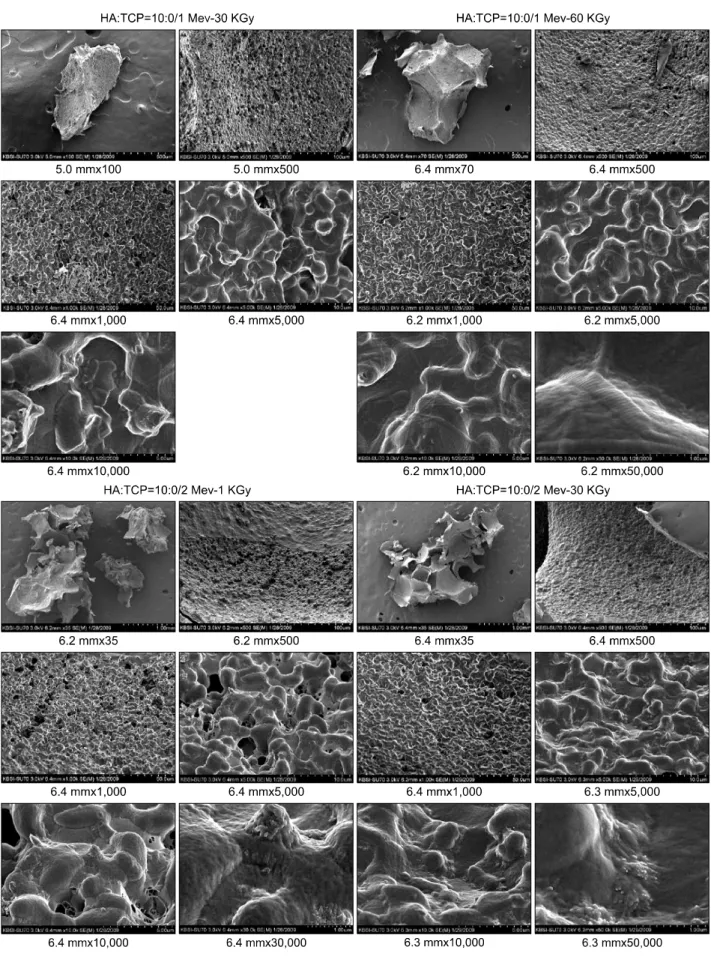 Fig. 8. Some particulations of HA in the SEM findings of HA under the 1 MeV∼30 KGy, 1 MeV∼60 KGy, 2 MeV∼1 KGy, and 2 MeV∼30 KGy under the electron beam irradiations, ×35, ×500, ×1,000, ×5,000, ×10,000, ×30,000, and/or ×50,000 magnifications, individually.