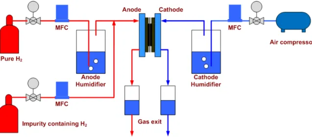 Fig. 1 Schematic representation of single cell test station