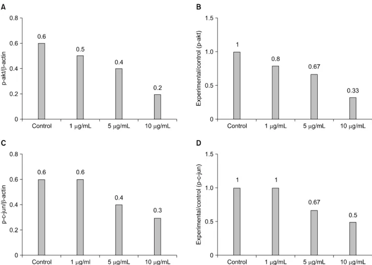 Fig. 4. Quantitative analysis of Western blot assay. (A) Ratio of p-akt to β-actin. (B) Relative value of experimental group on control  group in p-akt