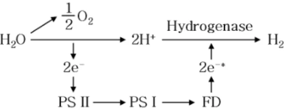 Fig. 1 Hydrogen  production  process  by direct biophotolysis 발생한  전자(e - )가  microalgae  내의  두  광합성시 스템인  PS  II와  PS  I을  거쳐  전자전달체인  ferredoxin(FD)을  통하여  수소발생  효소인  hydrogenase로  전달되며,  Fig