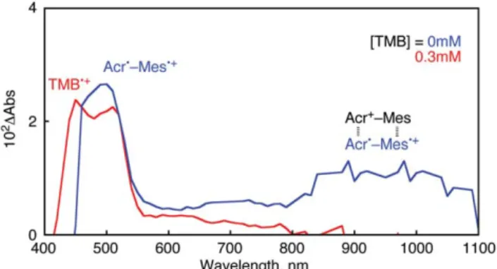 Fig. 3 (a) Transient absorbance time profiles at 450 nm due to TMBc +
