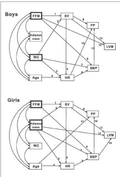 Fig. 1.  Path analysis diagrams of 