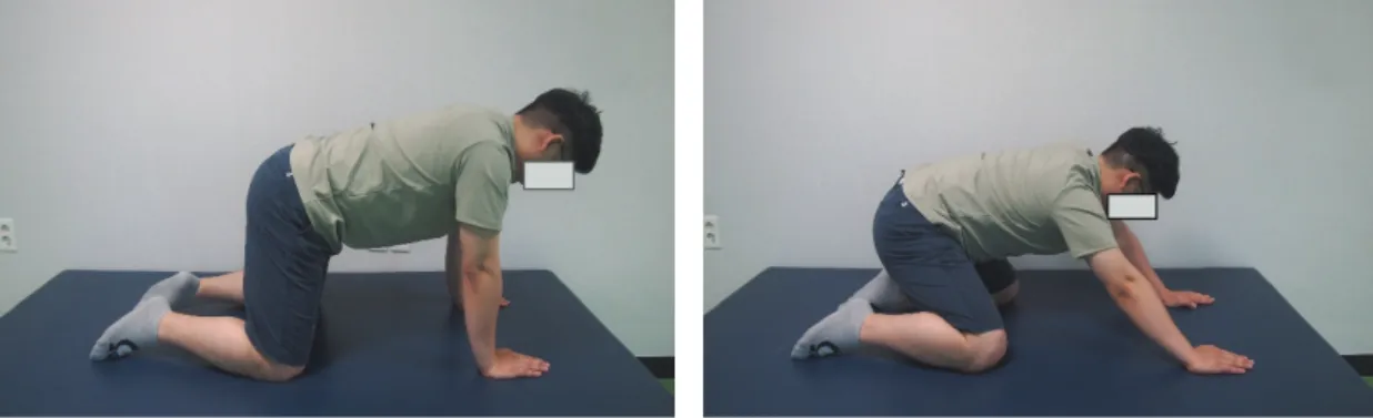 Fig.  3.  shoulder  stabilization  exercises.