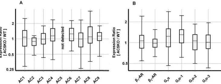 Figure 1. mRNA expression analysis of the b-AR-G-protein-AC signaling cascade in mouse hearts