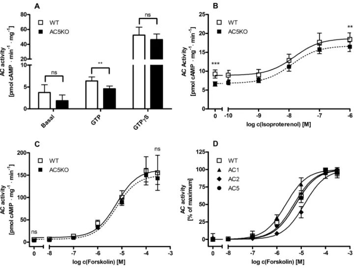 Figure 2. Stimulations of mouse heart AC and recombinant AC1, 2 and 5. AC activities were determined in membrane preparations of mouse hearts from wild type (WT) and AC5 knockout (AC5KO) mice or in membrane preparations of Sf9-cells expressing recombinant 