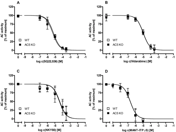 Figure 3. Inhibition of mouse heart AC with putative AC5-selective inhibitors. Concentration response curves of SQ22,536 (A), vidarabine (B) and NKY80 (C) on mouse heart AC from wild type (WT) vs