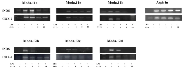 Figure 3. Effects of modafinil derivatives and aspirin (ASA) on inflammation-related  enzyme mRNA expression in LPS-treated BV2 cells