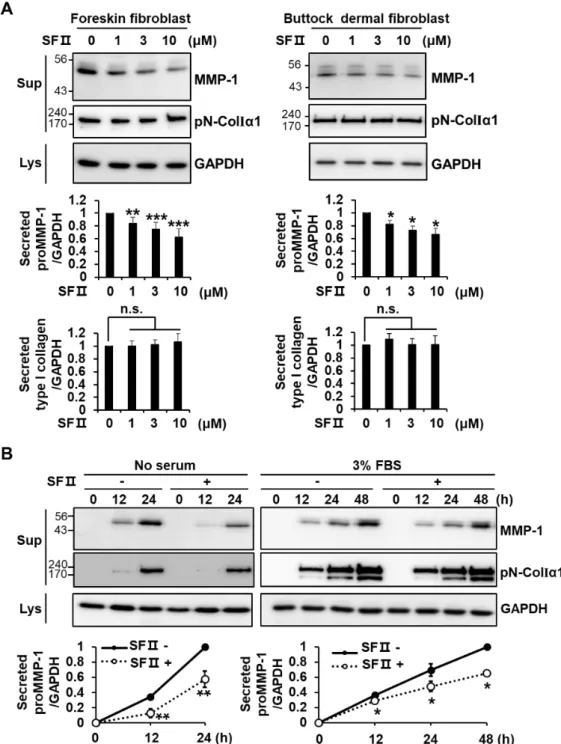 Figure 1. Effect of skullcapflavone II on expression of matrix metalloproteinase-1 (MMP-1) and type 