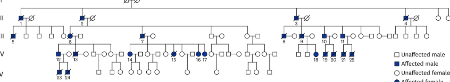 Fig. 1.  Pedigree from a family with DRPLA. There are 17 patients with DRPLA-presenting neurological problems such as gait ataxia, intellectual regression, and seizure