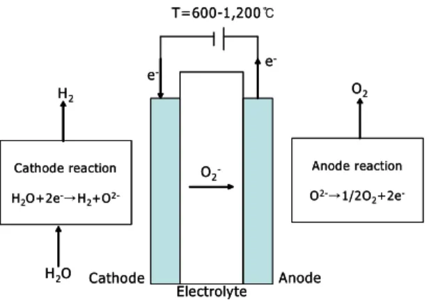 Fig. 6 Schematic illustration of HTE cell with solid oxide electrolyte and oxygen anode