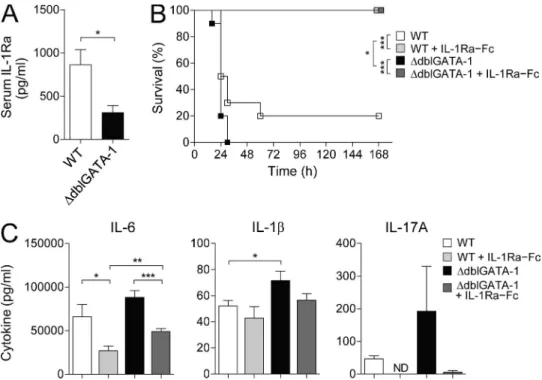 Figure 7.   An antiinflammatory function of eosinophils. (A) IL-1Ra in serum from  ΔdblGATA-1 or littermate control mice (WT) was measured by ELI  SA