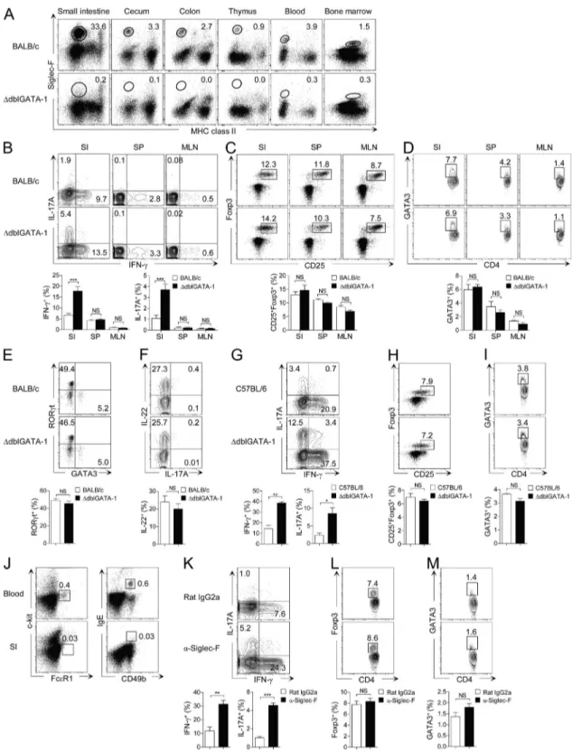 Figure 1.   Small intestinal Th17 and Th1 cells are increased in eosinophil-deficient mice