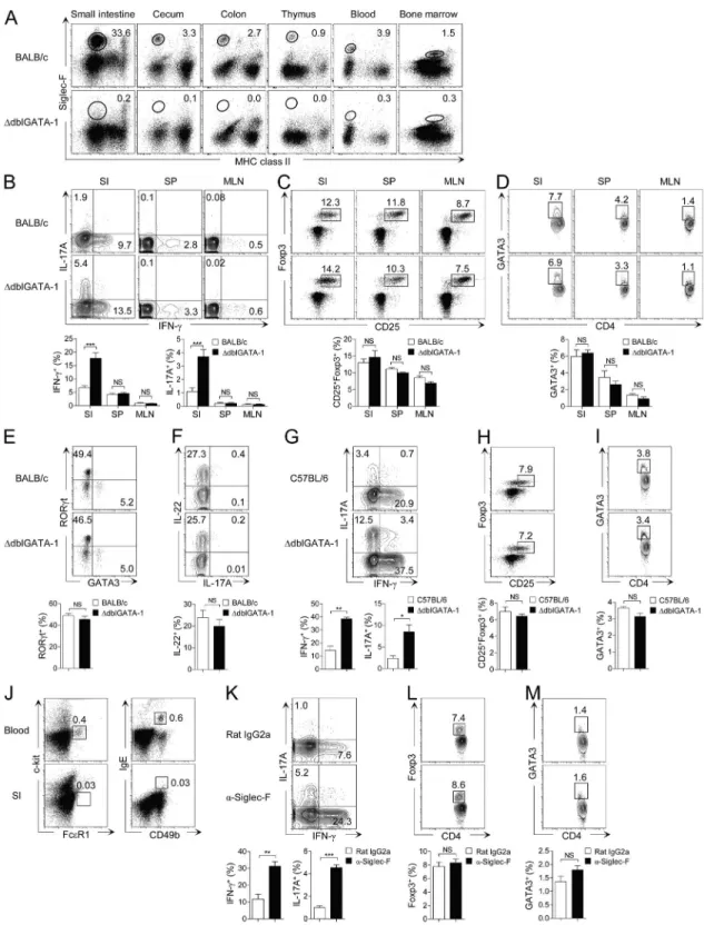 Figure 1.   Small intestinal Th17 and Th1 cells are increased in eosinophil-deficient mice