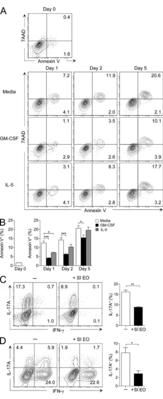 Figure 3.   Small intestinal eosinophils suppress Th17 cells in vitro. 