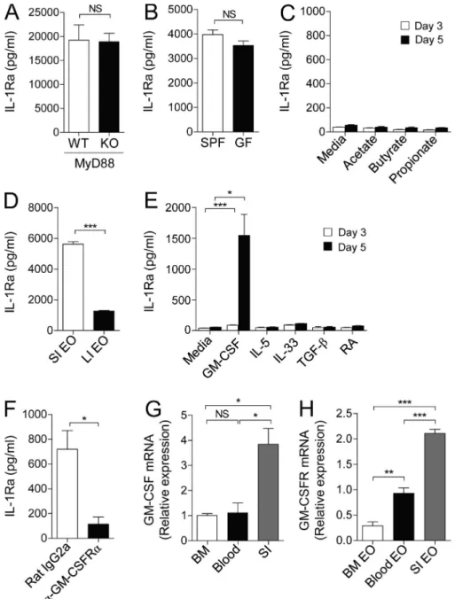 Figure 5.   Eosinophils secrete IL-1Ra upon  GM-CSF stimulation. (A and B) IL-1Ra in the 