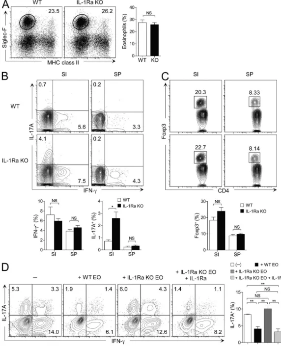Figure 6.   Small intestinal eosinophils suppress Th17 cells by producing IL-1Ra. (A) Flow cytometry analysis of the frequency of eosinophils in 