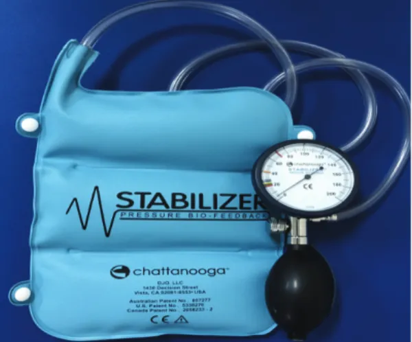 Fig.  1.  Stabilizer. Fig.  2.  Myosystem  TM  DTS,  Noraxon  Inc.,  USA.