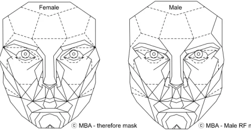 Fig. 1. Facial 'phi' mask made by Dr. 