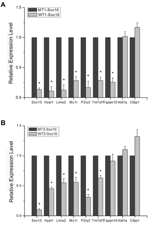 Figure 2. Confirmation of microarray expression profiling. (A) Quantitative real time RTPCR assays were carried out using B16F10 cells transfected with the MT1-Sox10 or WT1-Sox10