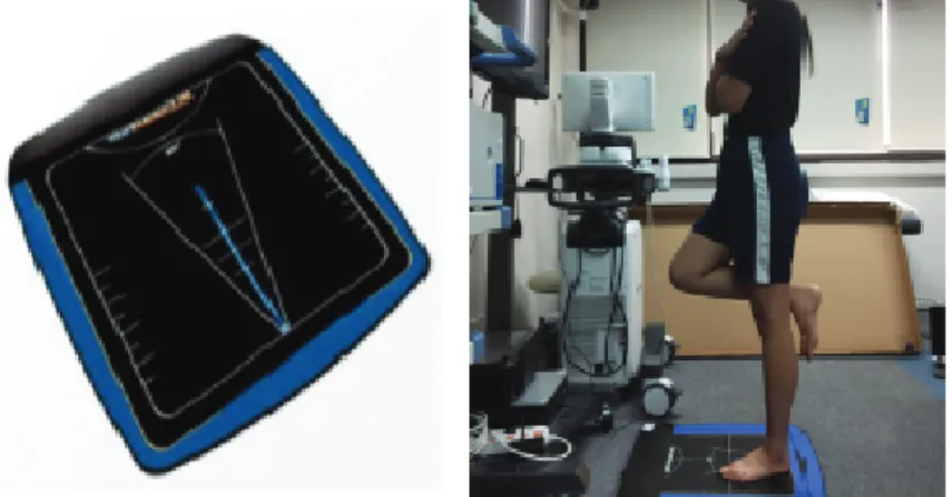 Fig.  1.  Biorescue  (left)  and  experimental  position  (right).