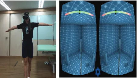 Fig.  3.  Virtual  reality  program  for  balance.