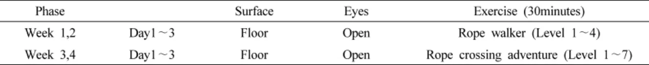 Table  2.  Virtual  reality  balance  training  program