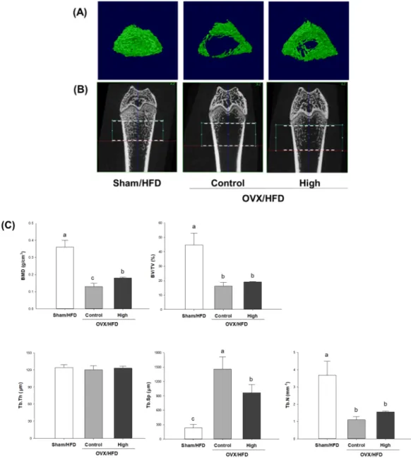 Figure 2. Micro-computed tomography analysis of distal femoral epiphysis in (A) two-dimensional  plane, (B) three-dimensional reconstruction, and (C) its quantification in OVX/HFD rats