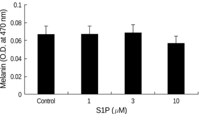 Fig. 3. The number of apoptotic B16 melanoma cells increased in the S1P treatment group (10  M for 24 hr) (B) as compared to the vehicle-treated control group (A)