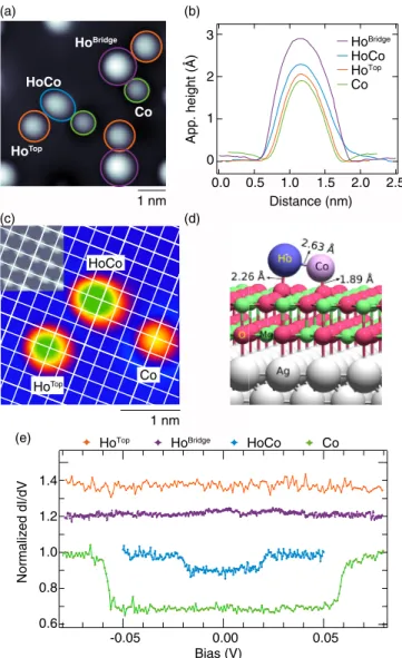 FIG. 1. Identification of HoCo dimers and detection of their