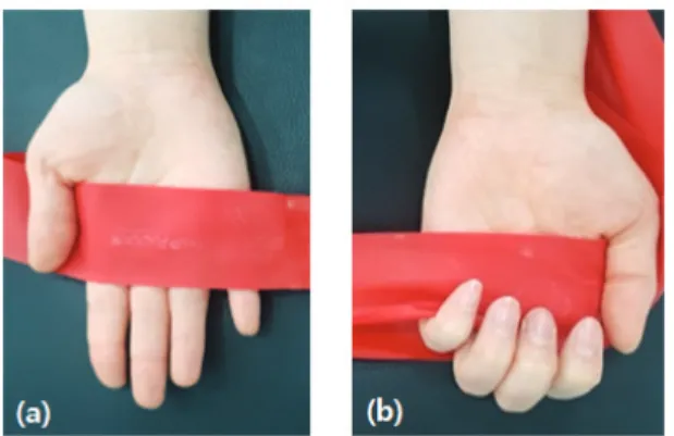 Fig.  1.  Thera-band  grip  type.