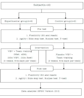 Fig.  1.  Schematic  diagram  of  study  process.