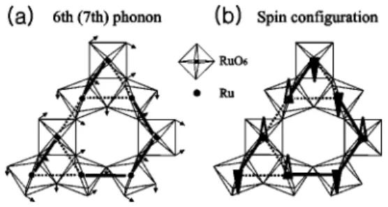 FIG. 6. (a) Atomic displacements of the sixth (seventh) phonon modes (Ref. 12). The thick bold and dotted lines connect the Ru ions with ␪⬎␪ 0 and ␪⬍␪ 0 , respectively