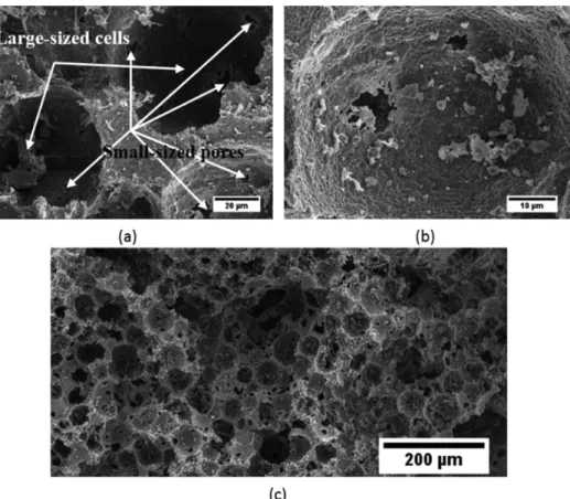 Fig. 8 Microstructure feature of porous ceramics with 3.0 wt% microsphere content