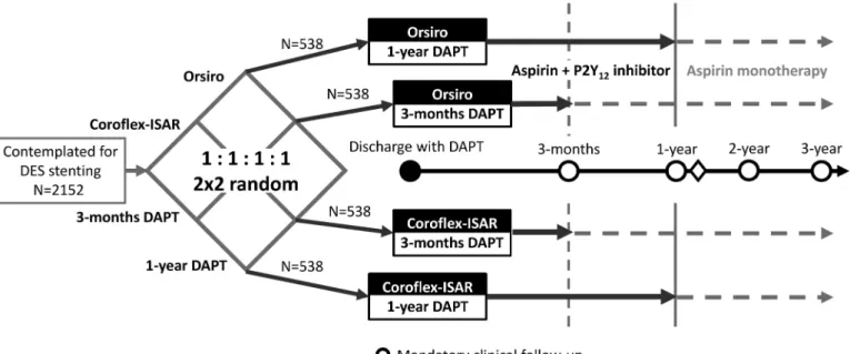Figure 1  Study outline and randomization scheme.