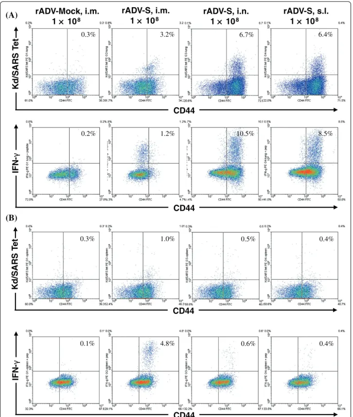 Figure 4 Detection of S 366-374 epitope-specific and IFN- γ secreting CD8 + T lymphocytes in the mice vaccinated with rADV-S