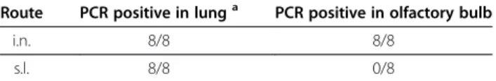 Table 1 The distribution of rADV-EGFP in the lung and olfactory bulb of mice after i.n