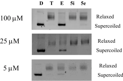 Figure  3  shows  the  results  of  topoisomerase  IIα  inhibitory  activities  of  the  two  evaluated  compounds 5e and 5i