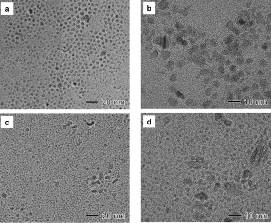Figure 2. (a,b) TEM images of a sample produced under the same reaction conditions as those in 