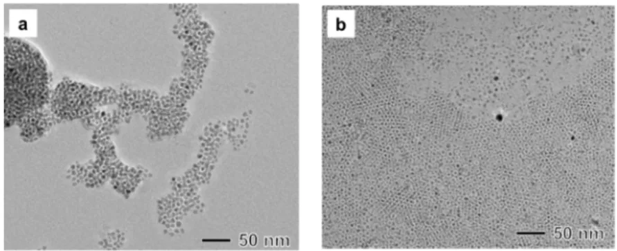 Figure 3. (a) TEM image of a sample manufactured under the same reaction conditions as those in 