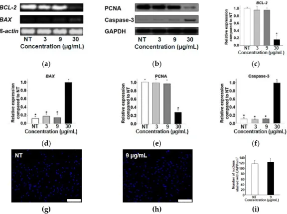 Figure 4. Cytotoxicity of Fe 3 O 4  nanoparticles to hADSCs depending on concentration used for 