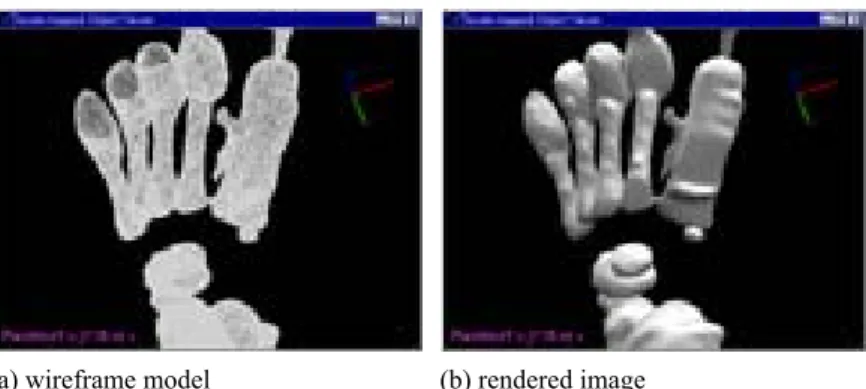 Figure 4. Results of surface modeling and surface rendering 
