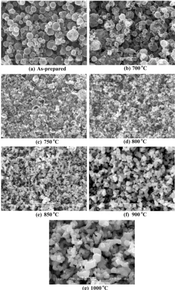 Fig. 1. SEM photographs of as-prepared and post-treated LiMn 11/