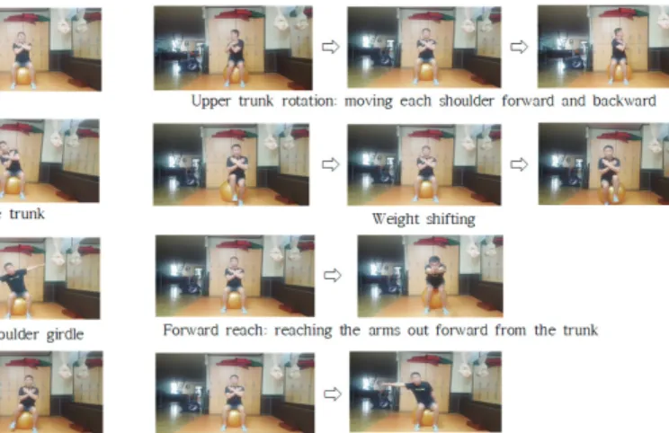 Fig. 1. Trunk exercise program.