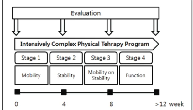 Fig. 1. Procedure of study.