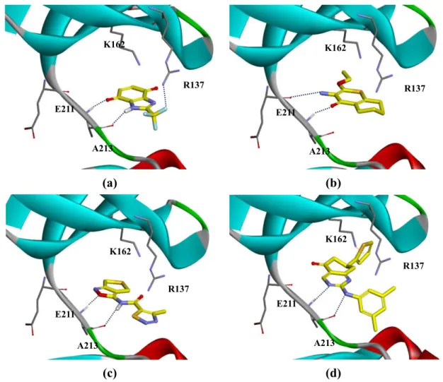 Figure 1. The binding mode of fragments: (a) 12; (b) 1; (c) 13; and (d) 3, (PDB code: 3P9J)