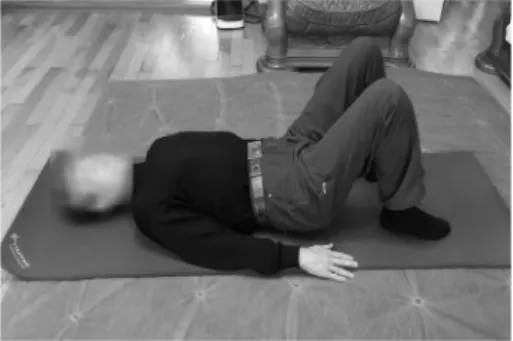 Fig. 5. Rotation with resistance from pelvic. Fig. 6. Dead bug exercise.