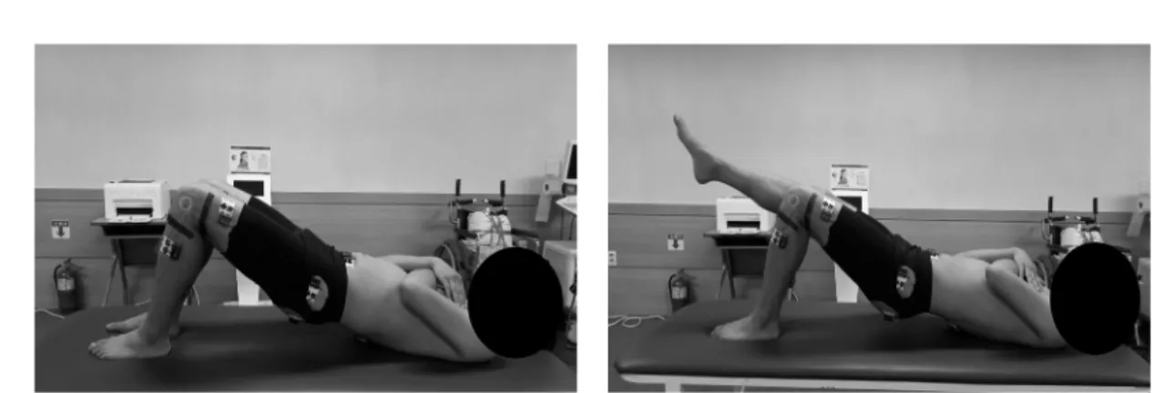 Table 2. General characteristics of subjects  (n=15)Fig. 1. Bridge exercise.Fig. 2. Bridge exercise using weight.