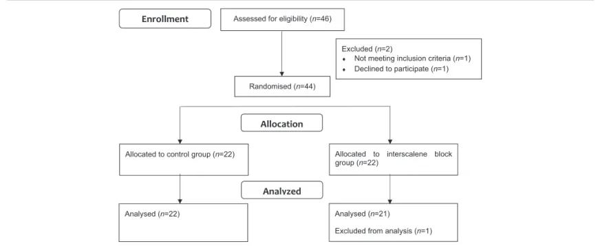 Figure 1. Flowchart of this study. ISB =interscalene brachial plexus block.