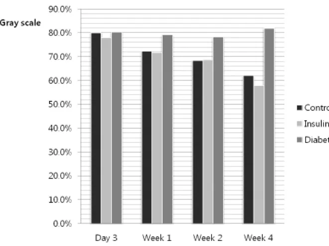 Fig. 4. Radiographic bone density was measured by quanti- quanti-fying pixels (5 x 5) at 4 points using the gray scale method.